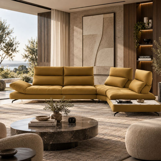 A589 Adjustable Back-Rest Sofa